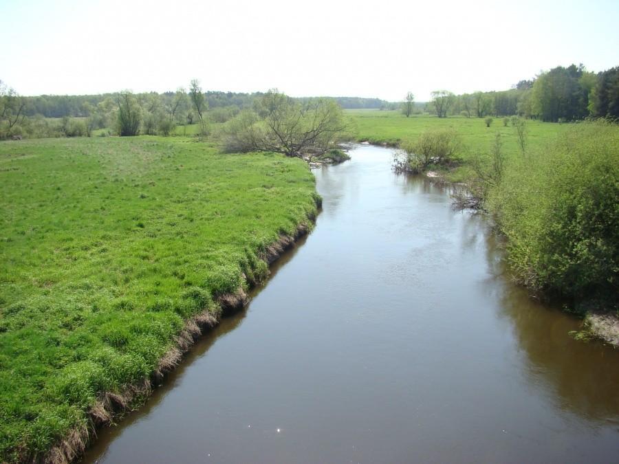 Pilchowo-Maszewo-Stargard-Miedwie- Pilchowo . 8