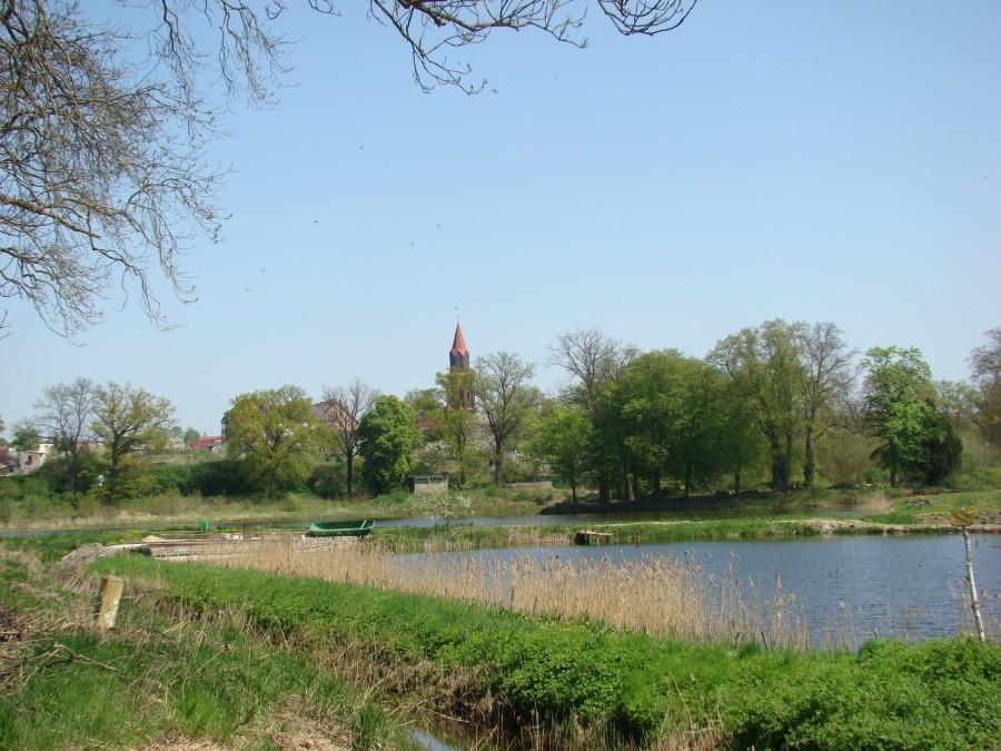 Pilchowo-Maszewo-Stargard-Miedwie- Pilchowo . 12