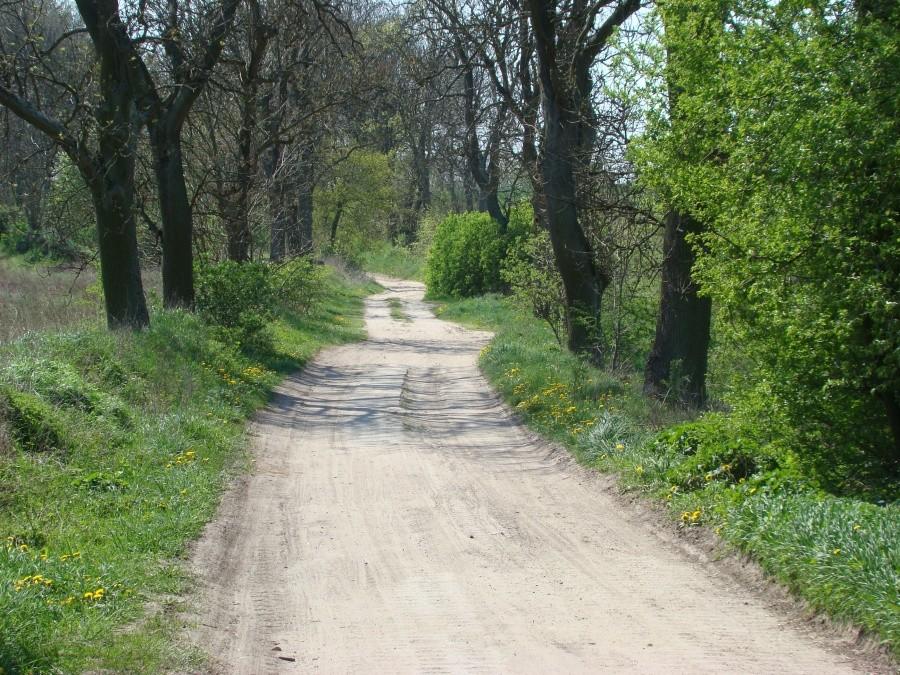 Pilchowo-Maszewo-Stargard-Miedwie- Pilchowo . 14