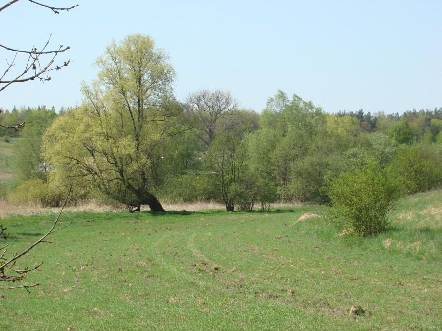 Pilchowo-Maszewo-Stargard-Miedwie- Pilchowo . 15