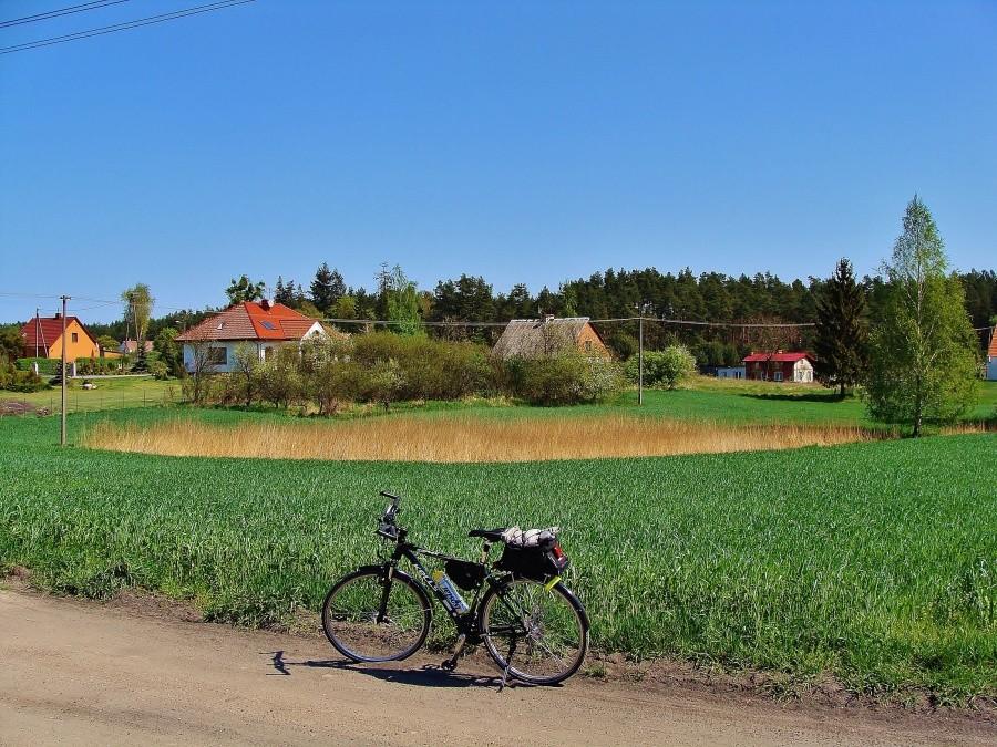 Krajobraz Żuław-Parpary.