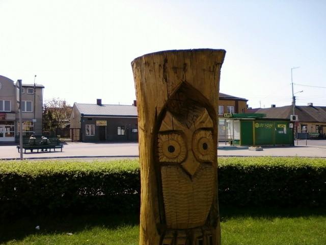 Sówka w rynku