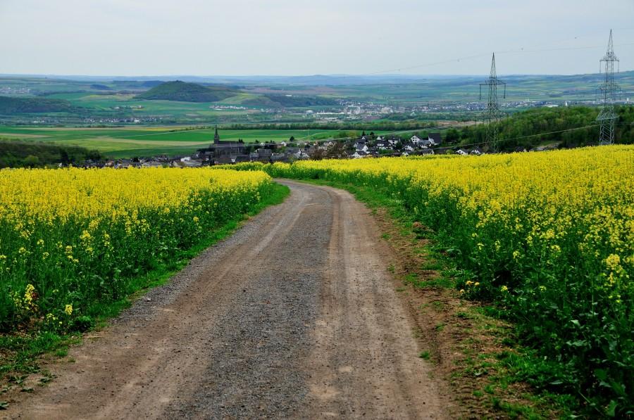 Widok na Eich z góry