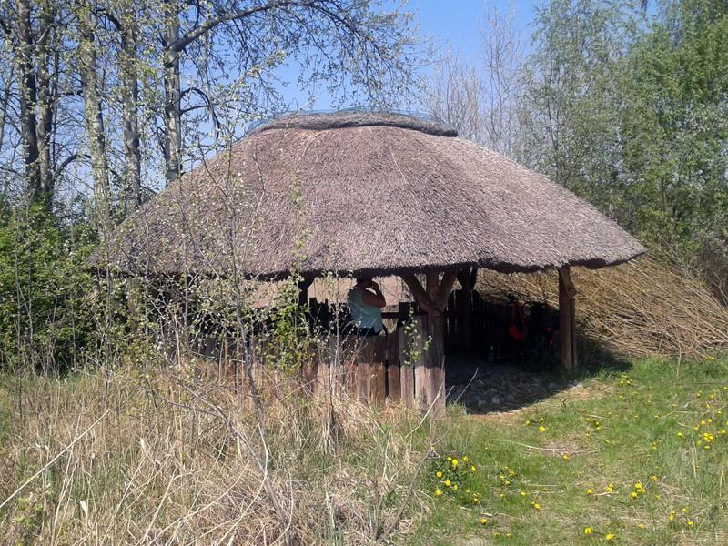 Afrykańska chatka