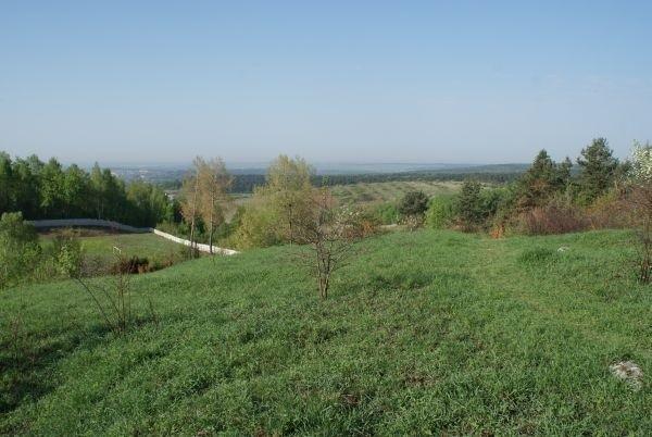 widok ze wzgórza zamkowego chęcińskiego