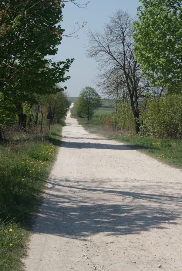 z Chomentowa przez pola do DW 766 na Morawicę
