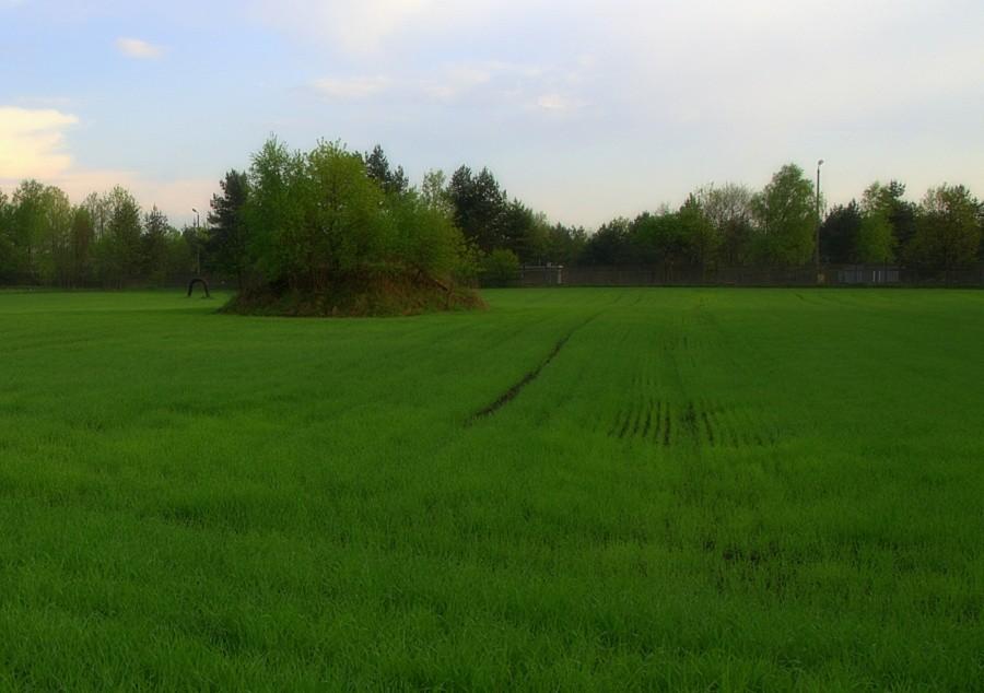 samotna wyspa