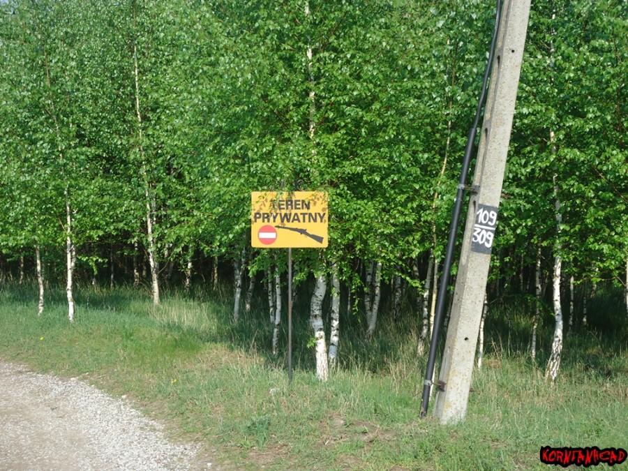 Bezpośredni przekaz, nie ma co
