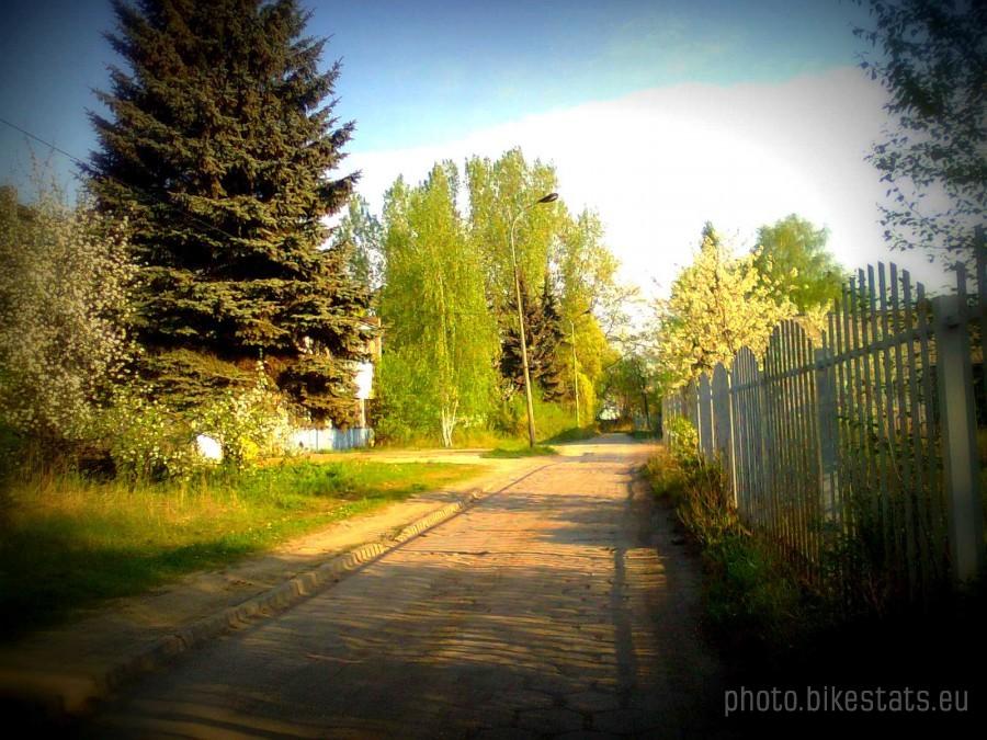 Stalowa w Dąbrówce