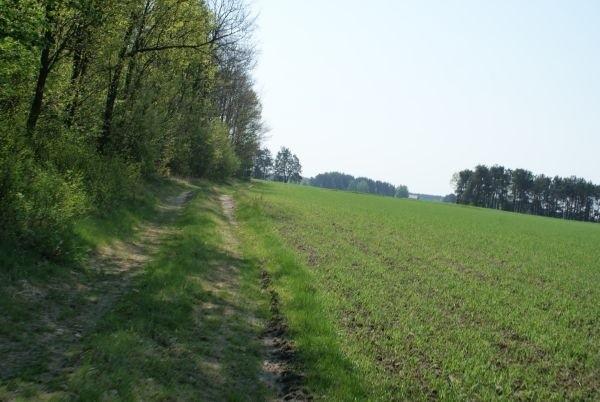 mkniemy przez pola
