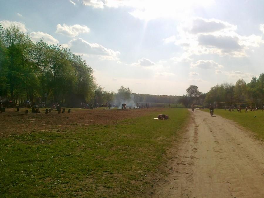 Polana piknikowa w Powsinie