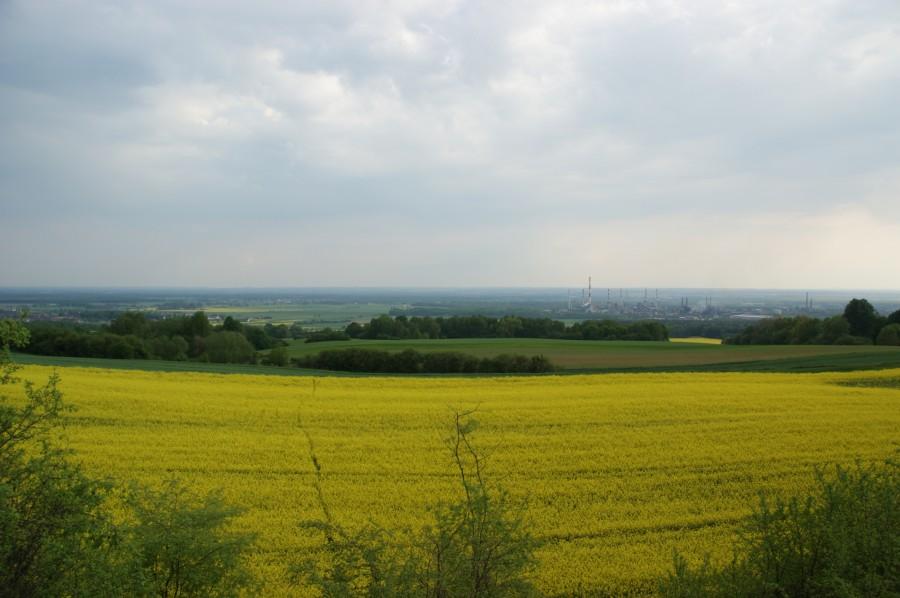 Widok z Góry Św. Anny na Zdzieszowice i okolice.