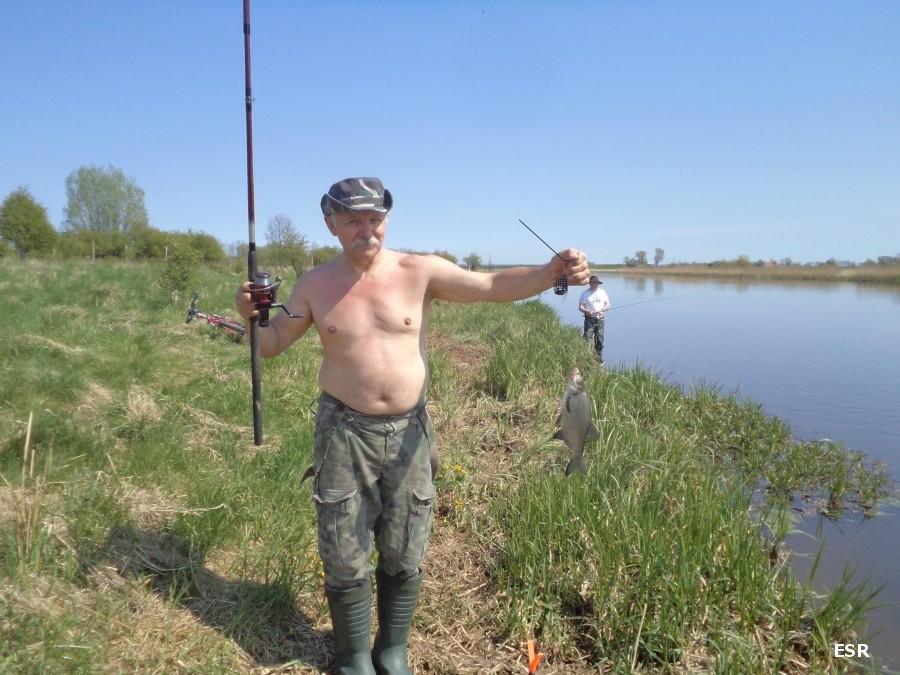 Nogat - mała ryba