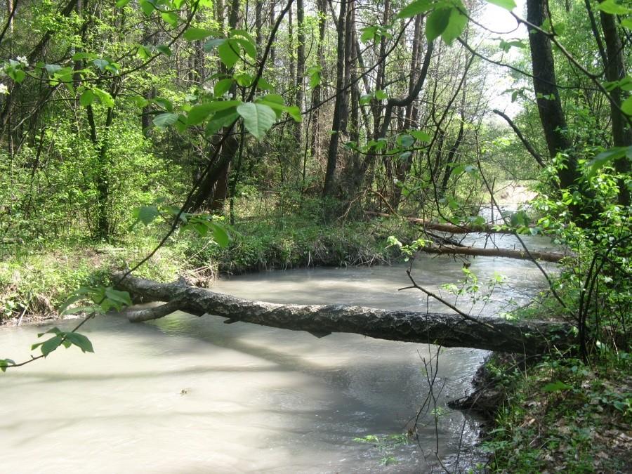 Soła