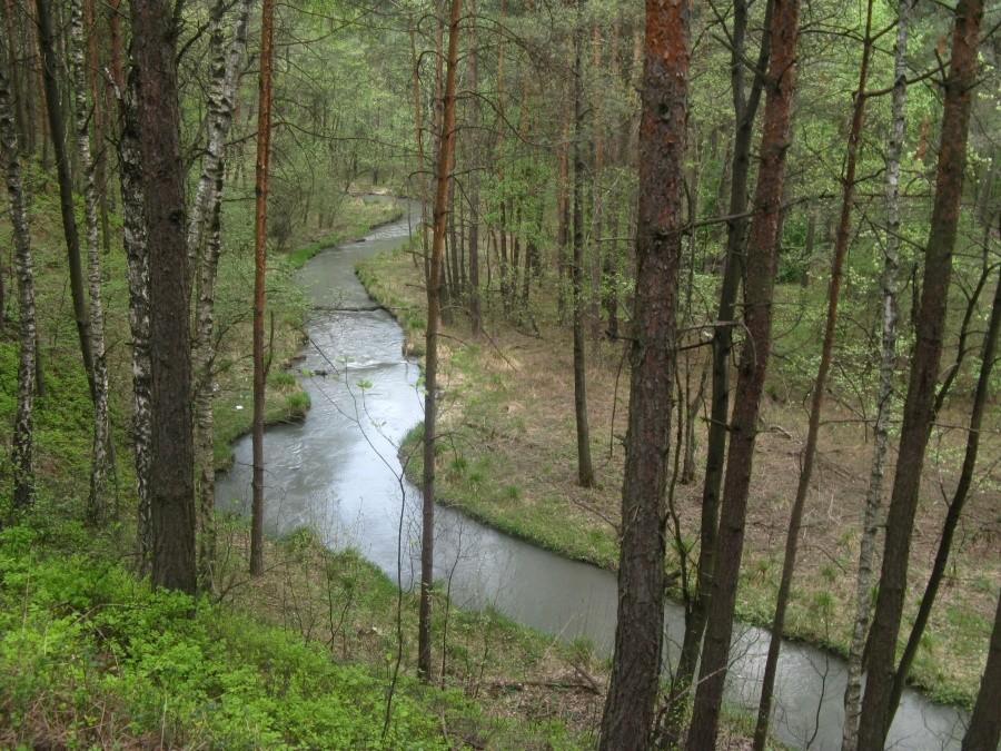 Zakola Soły