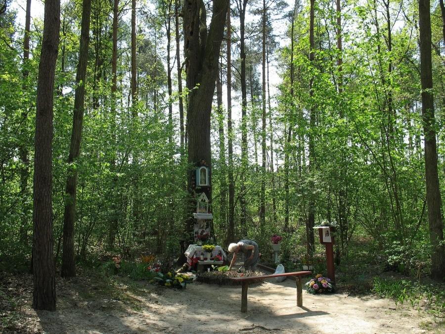 Żabieniec - leśna kapliczka