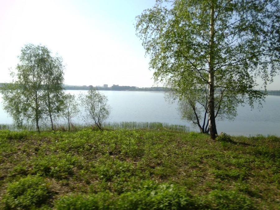 W drodze na Łosień - Pogoria III