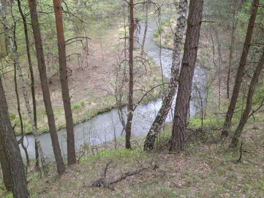 W drodze na Bukowno terenem