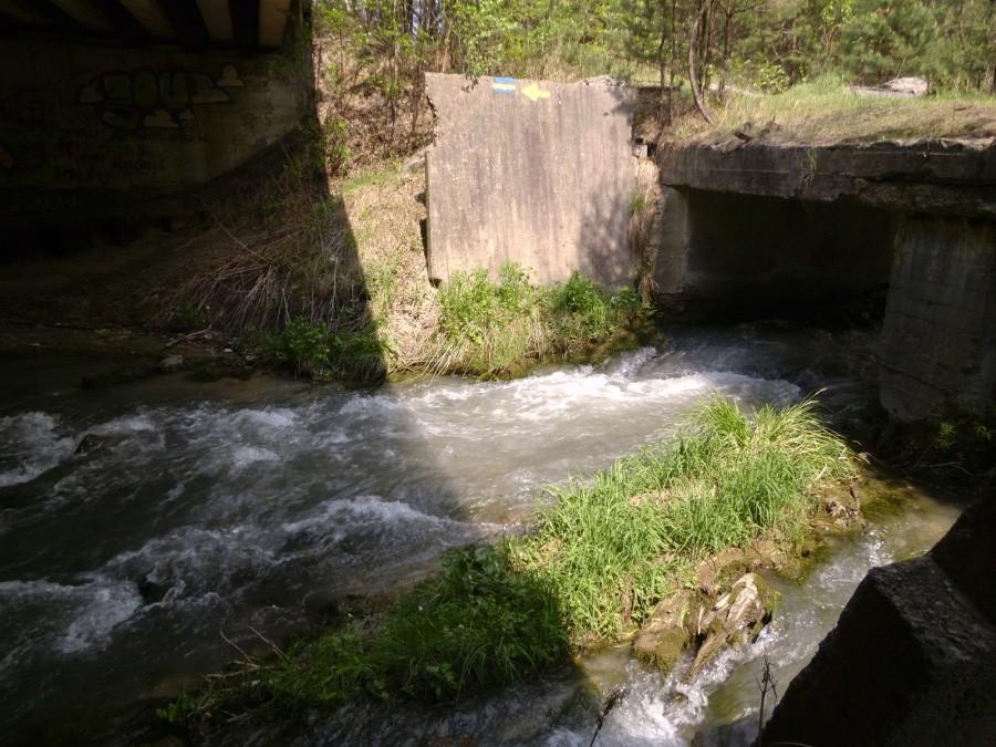 W drodze na Bukowno terenem