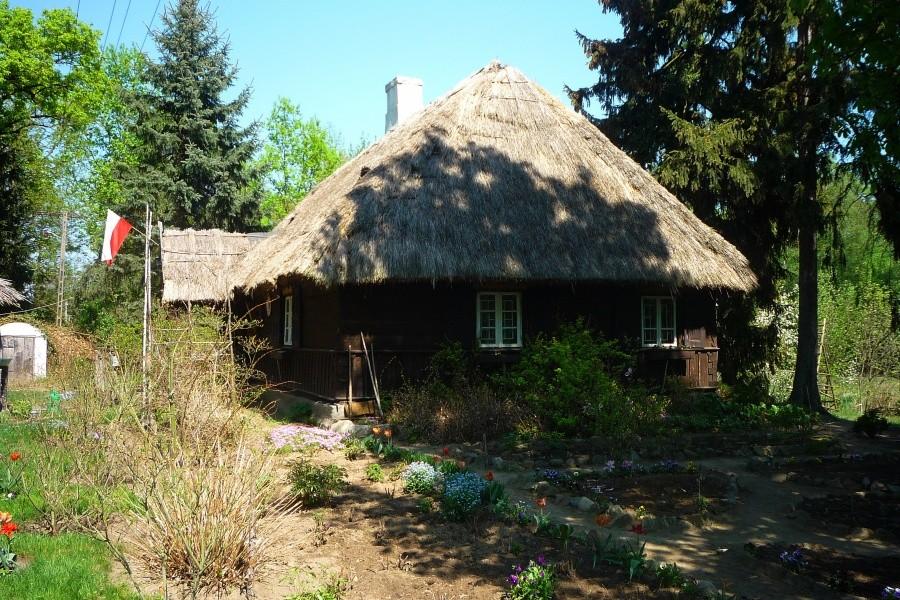 cd.