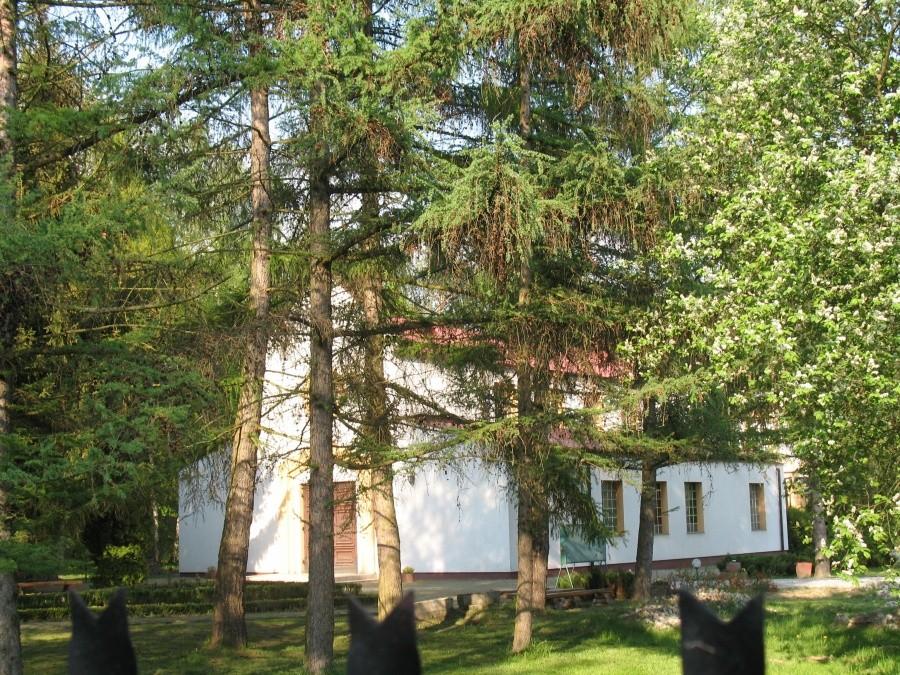 kościół w Lesnej Polanie