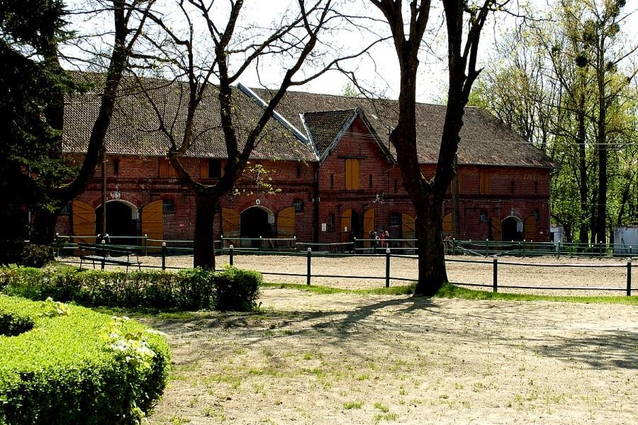 Stadnina koni w Rzecznej