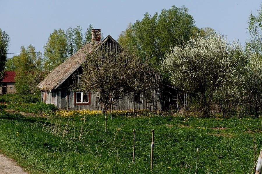 Stara chata w Stankowie