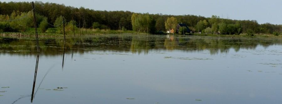 Jezioro Drużno