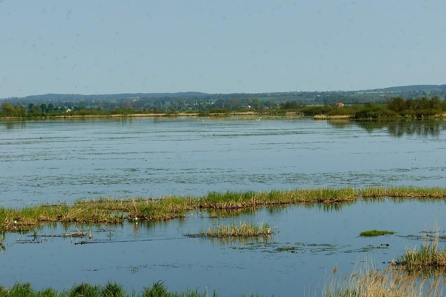 Widok z wieży widokowej