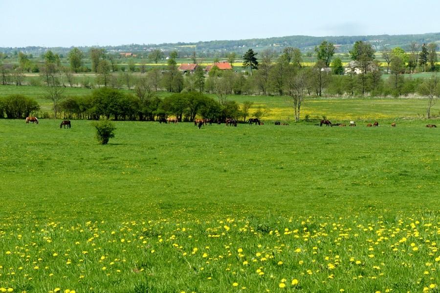 Szlakiem Poczytliona kierujemy się na pochylnie Jelonki