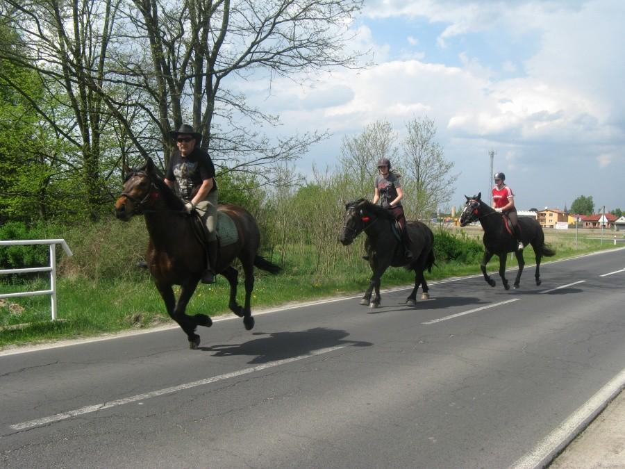 Na koń!