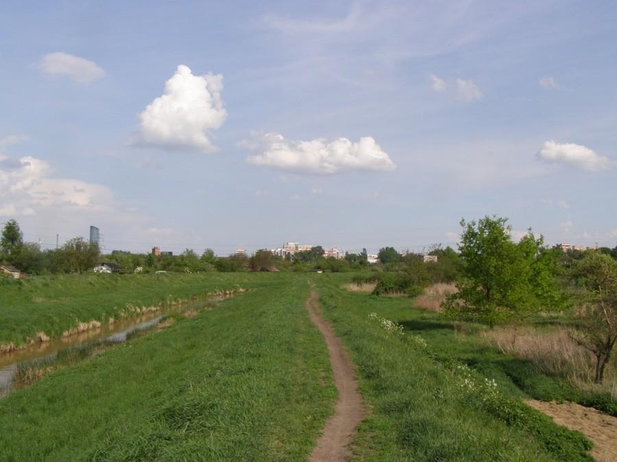 Wał nad Ślęzą w okolicach Krzemienieckiej