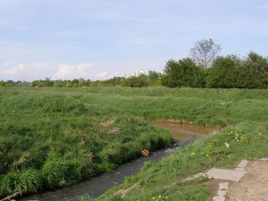 Kasinoujście do Ślęzy