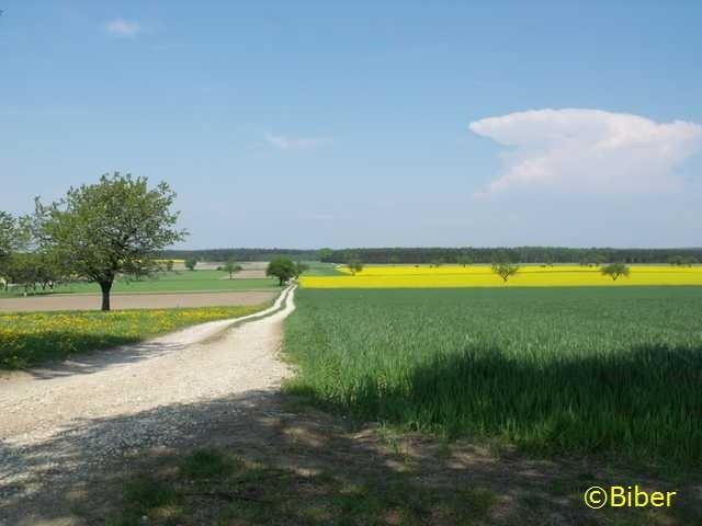 W opolskim to mają szlaki rowerowe...