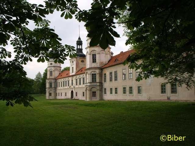 Pałac w Żyrowej