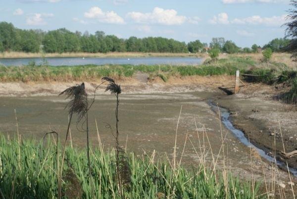 wyschnięty staw