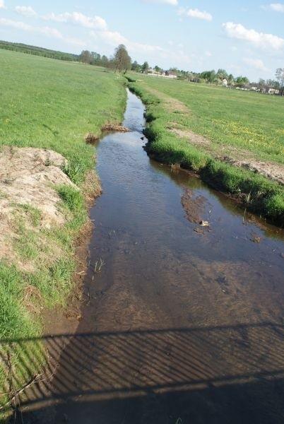 nad Bieliną