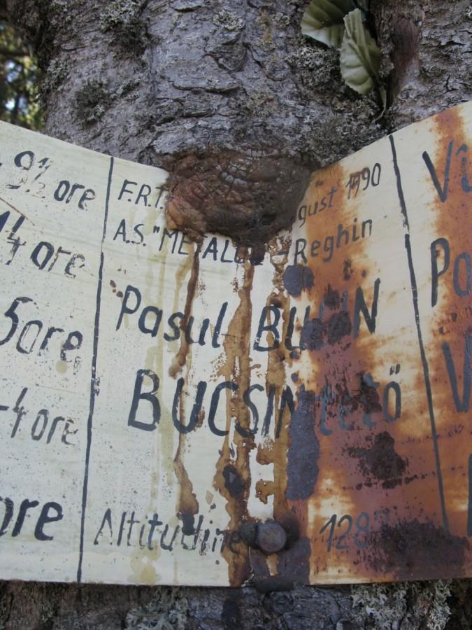 przełęcz Bucsin 1287 m. n.p.m.