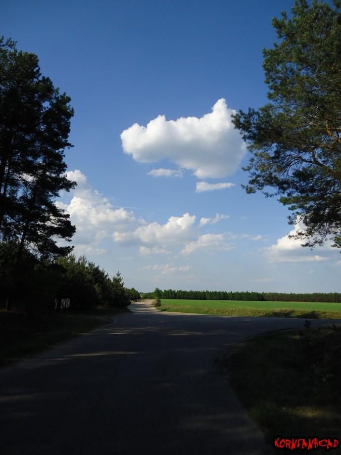 Piękna jest ta wiosna. Między Lipiankami a Duninowem Dużym