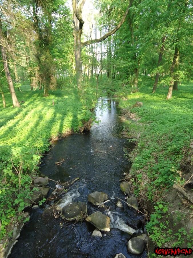 Strumień w parku. Widok z mostku