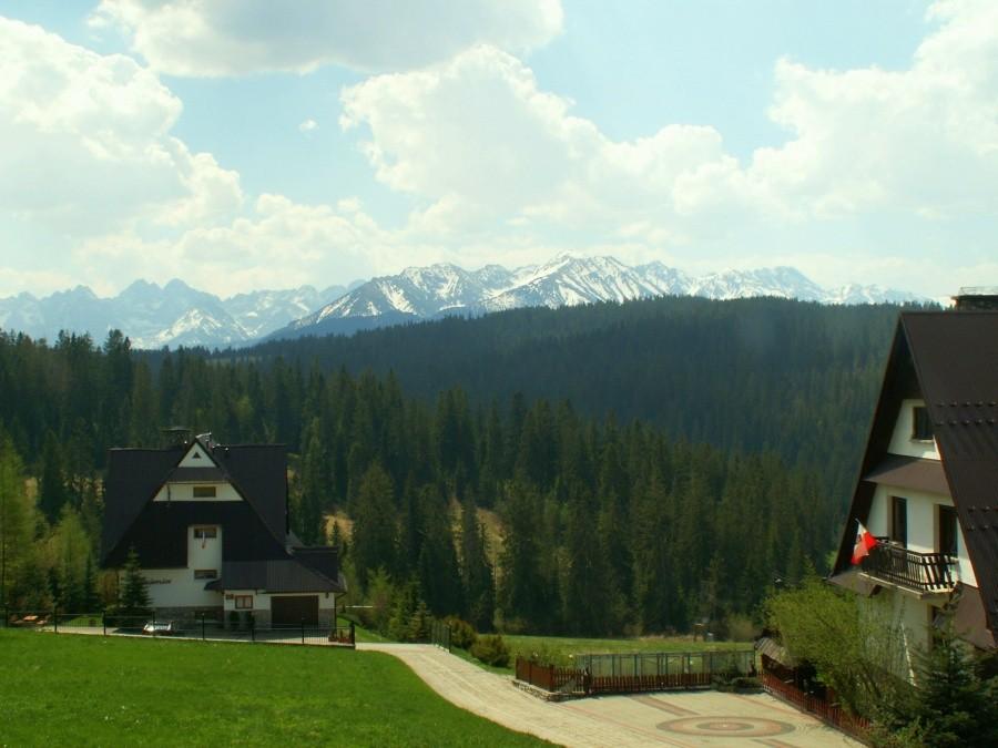Tatry z Polany Głodówki.