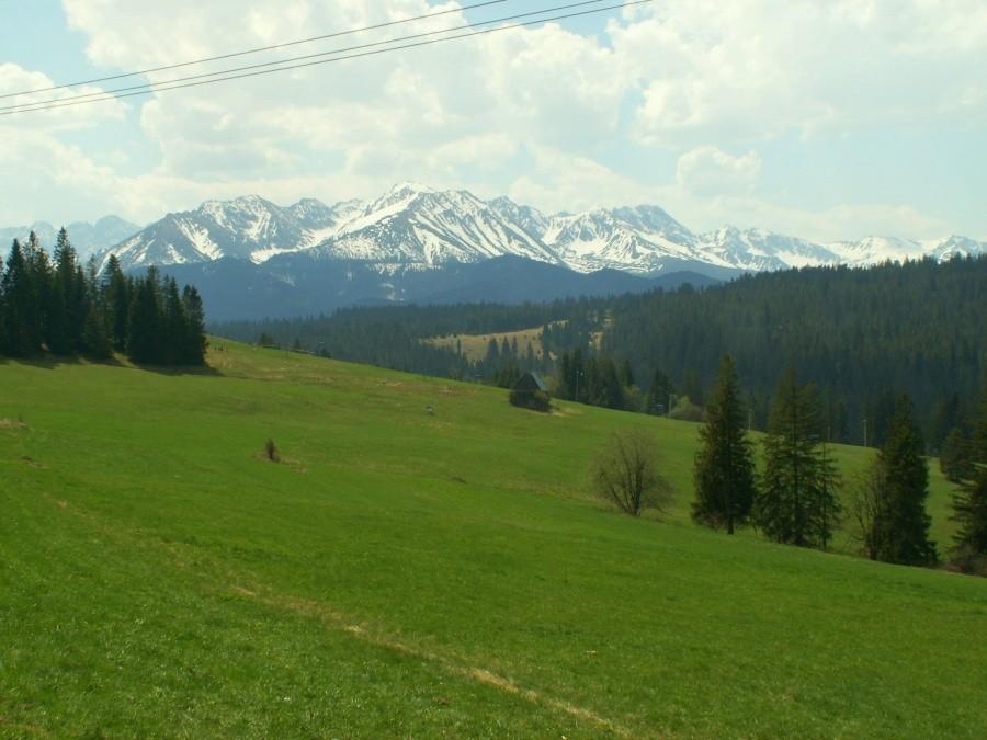 Tatry z Polany Głodówki.