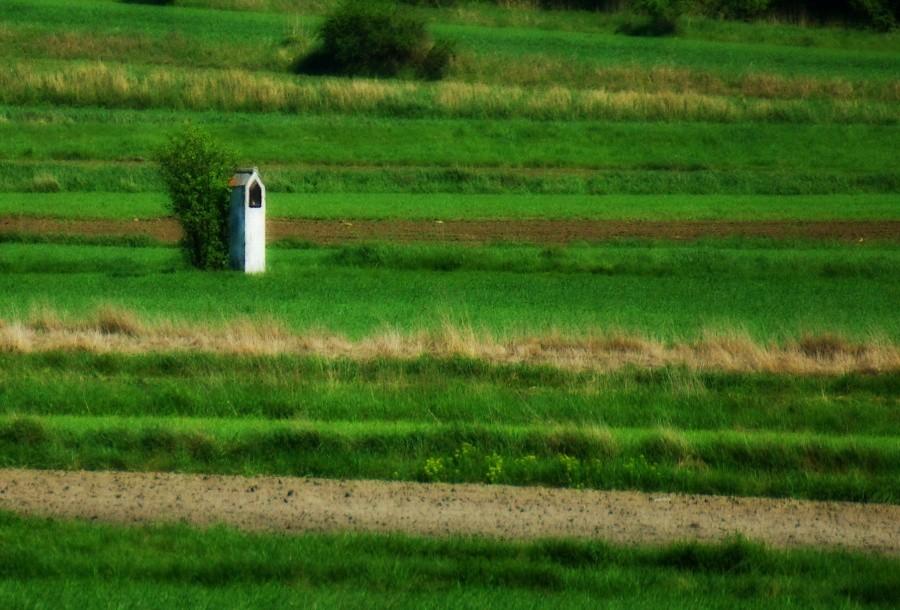 Kapliczka w polu