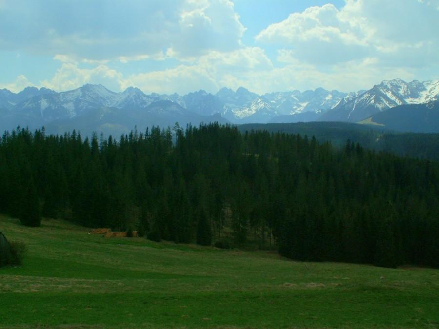 Panorama Tatr z Polany Głodówki.