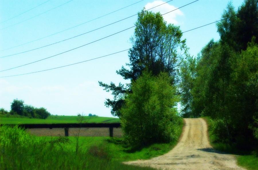 ścieżka polna