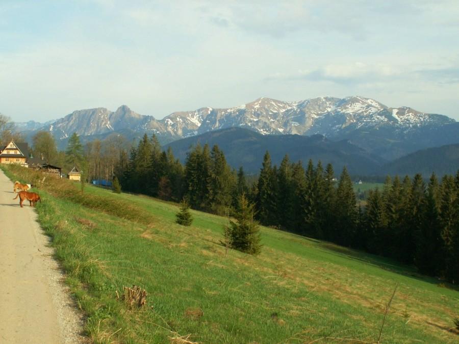 Tatry z Płazówki.