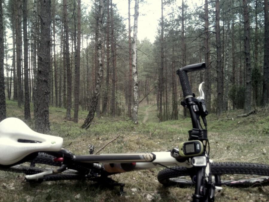 troszkę pobłądziłam ale nawigacja mnie uratowała