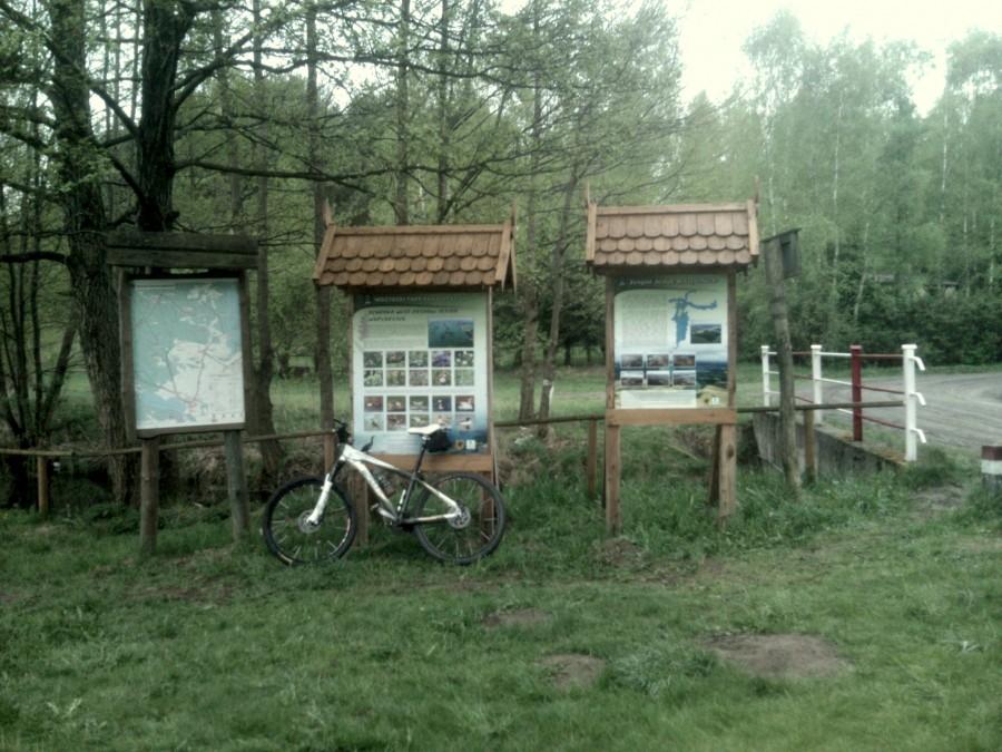 Knieja ... na drugim krańcu jeziora