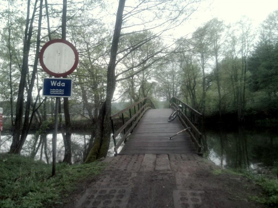na zielonym szlaku