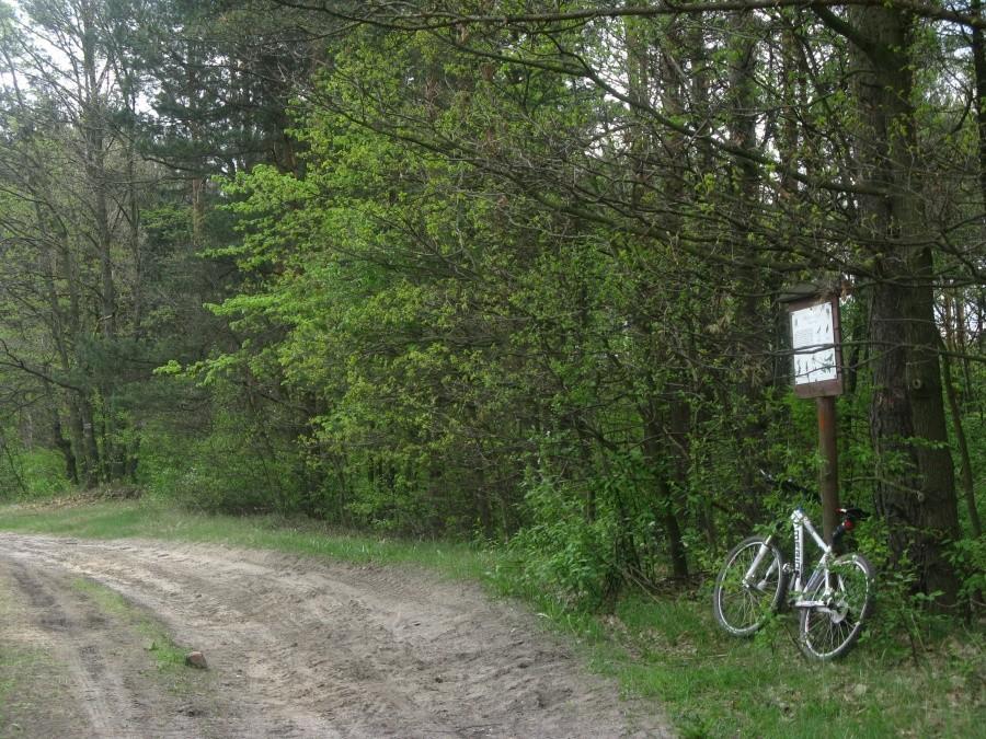 Następny punkt
